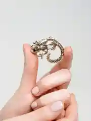 Золотой брошь "Ящерица", со стразами, 2 цвета