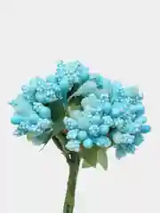 Голубой тычинки с сахарными вставками. 12 штук