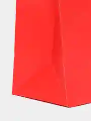 Коралловый пакет однотонный 17*22*10см