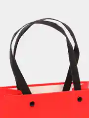 Коралловый пакет однотонный 17*22*10см