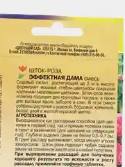 Шток роза Эффектная дама, семена, цветы