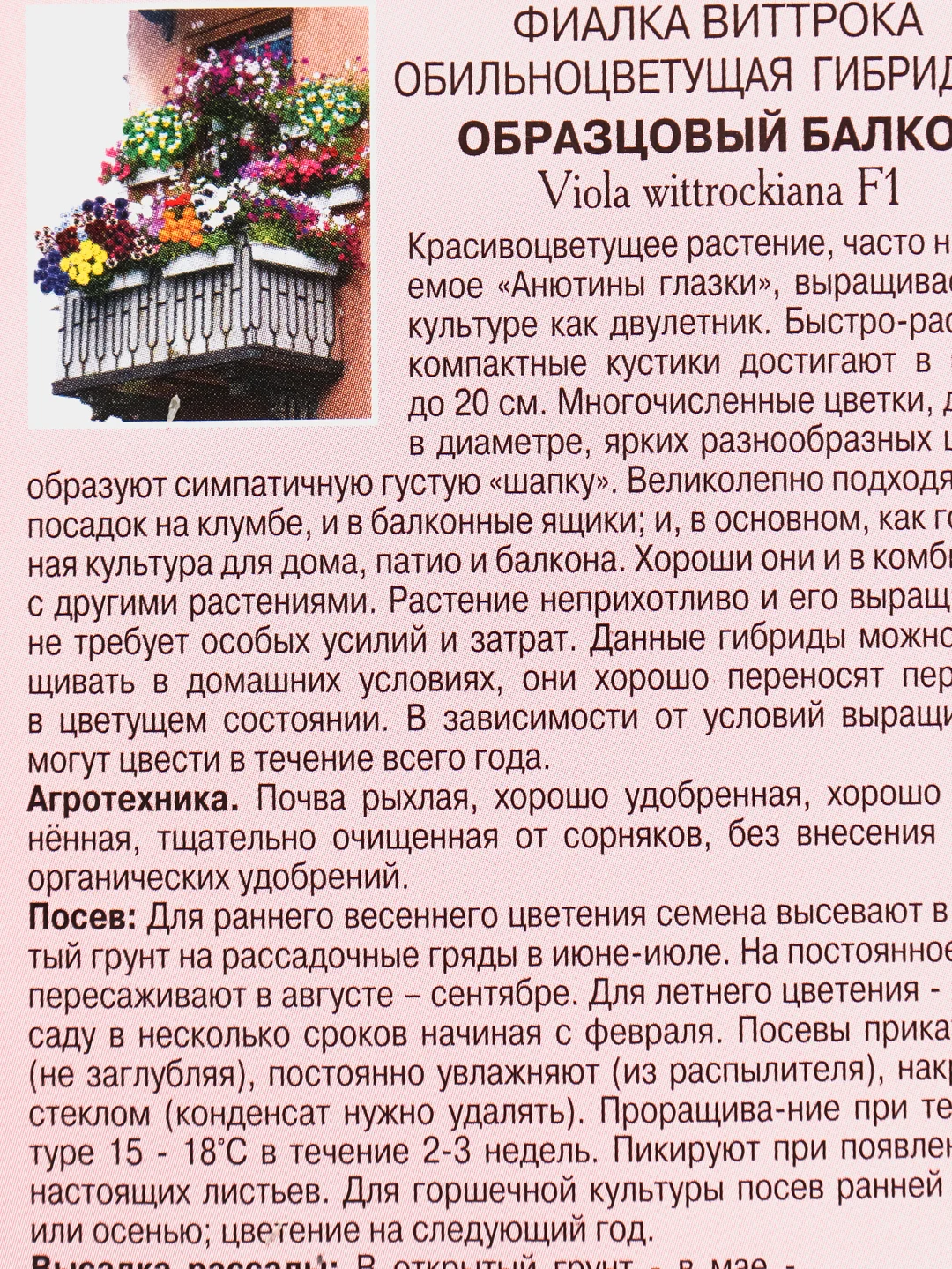 Фиалка Образцовый балкон (семена,цветы)