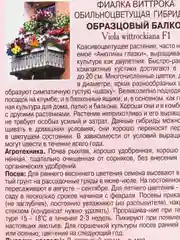 Фиалка Образцовый балкон (семена,цветы)
