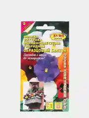Фиалка Образцовый балкон (семена,цветы)