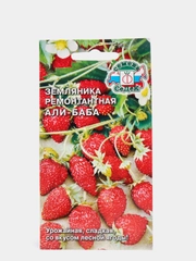 Земляника ремонтантная "Али-Баба" семена