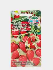 Земляника ремонтантная "Али-Баба" семена