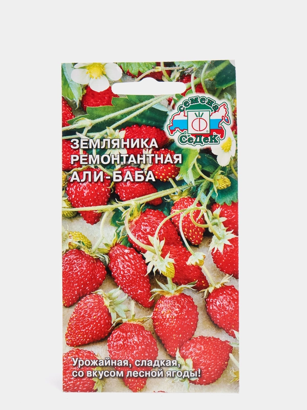 Земляника ремонтантная "Али-Баба" семена
