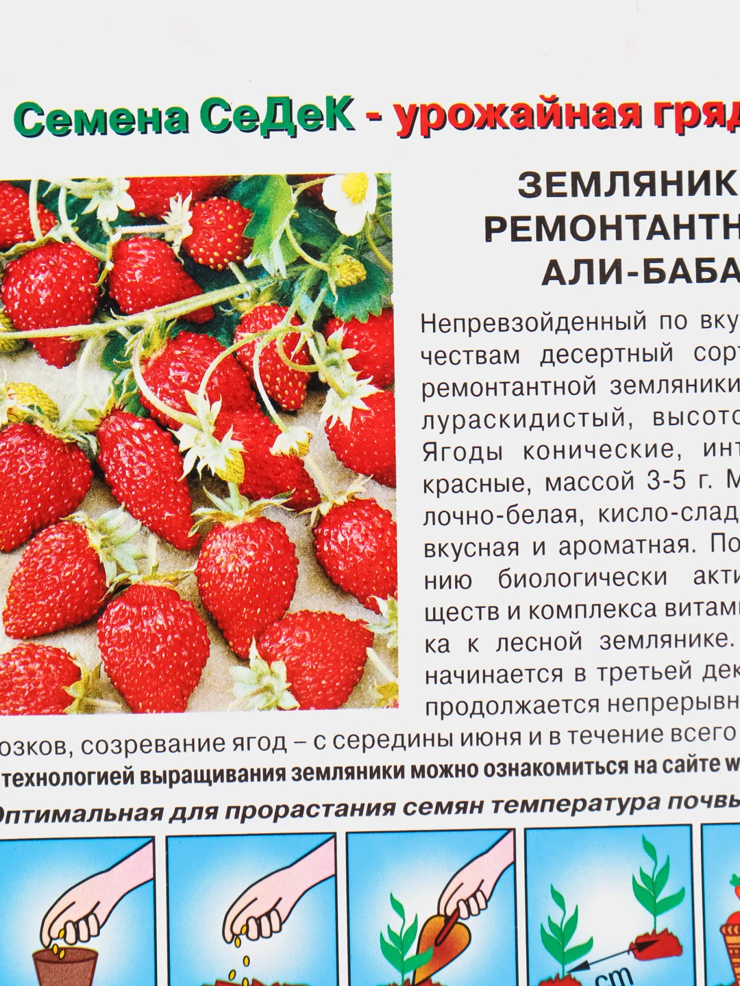 Земляника ремонтантная "Али-Баба" семена