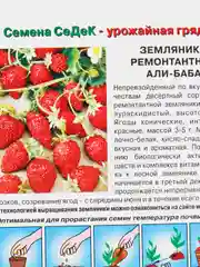 Земляника ремонтантная "Али-Баба" семена
