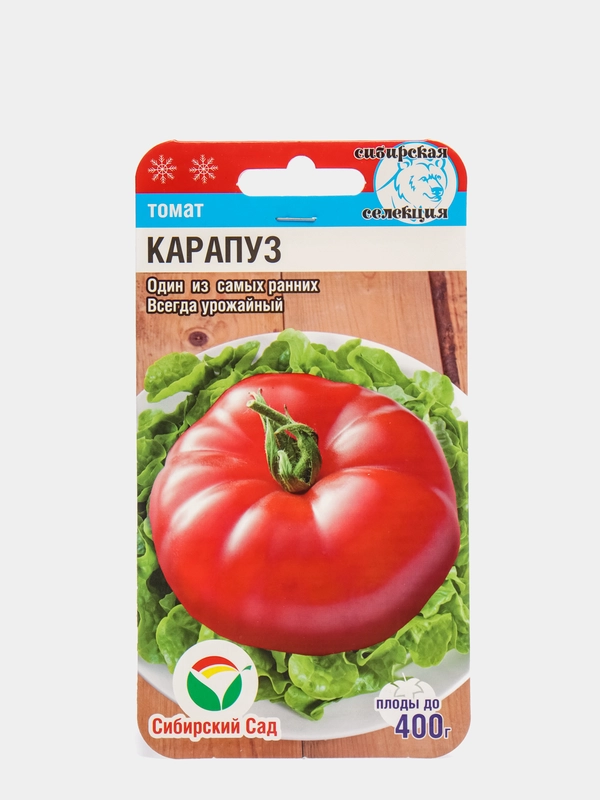 Семена "Томат Карапуз"
