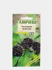 Семена цветов Элеутерококк "Эскулап"