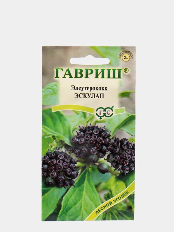 Семена цветов Элеутерококк "Эскулап"