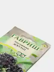 Семена цветов Элеутерококк "Эскулап"