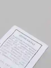 Семена Огурец Каскад
