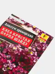 Алиссум Клеа Кристал парпл шэйдз (семена,цветы)