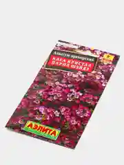Алиссум Клеа Кристал парпл шэйдз (семена,цветы)