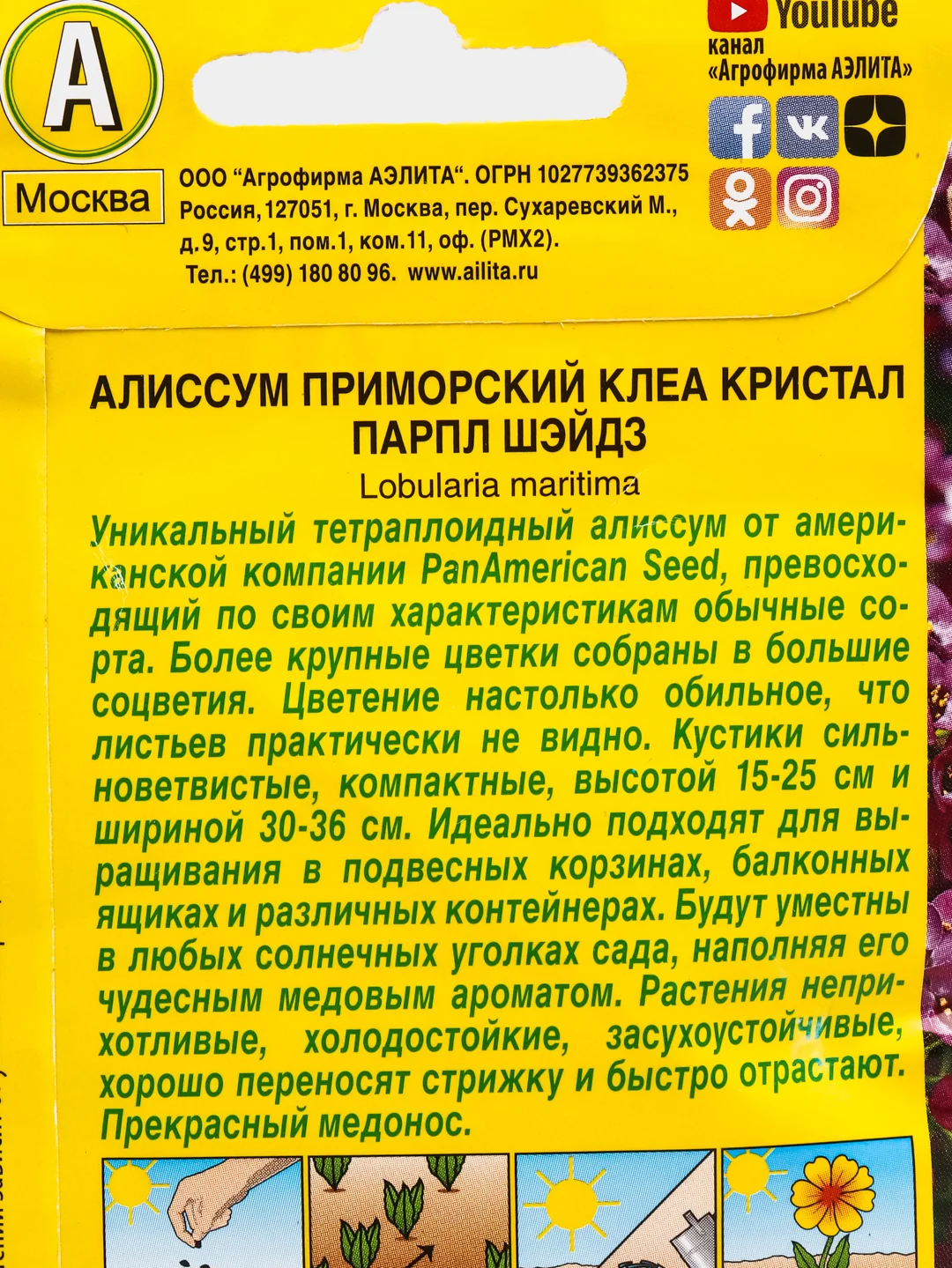 Алиссум Клеа Кристал парпл шэйдз (семена,цветы)