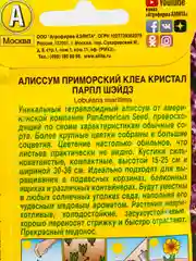Алиссум Клеа Кристал парпл шэйдз (семена,цветы)