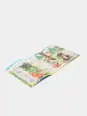 Лайм книга для детей 4-7 лет с наклейками, 12 стр., размер 22 x 16
