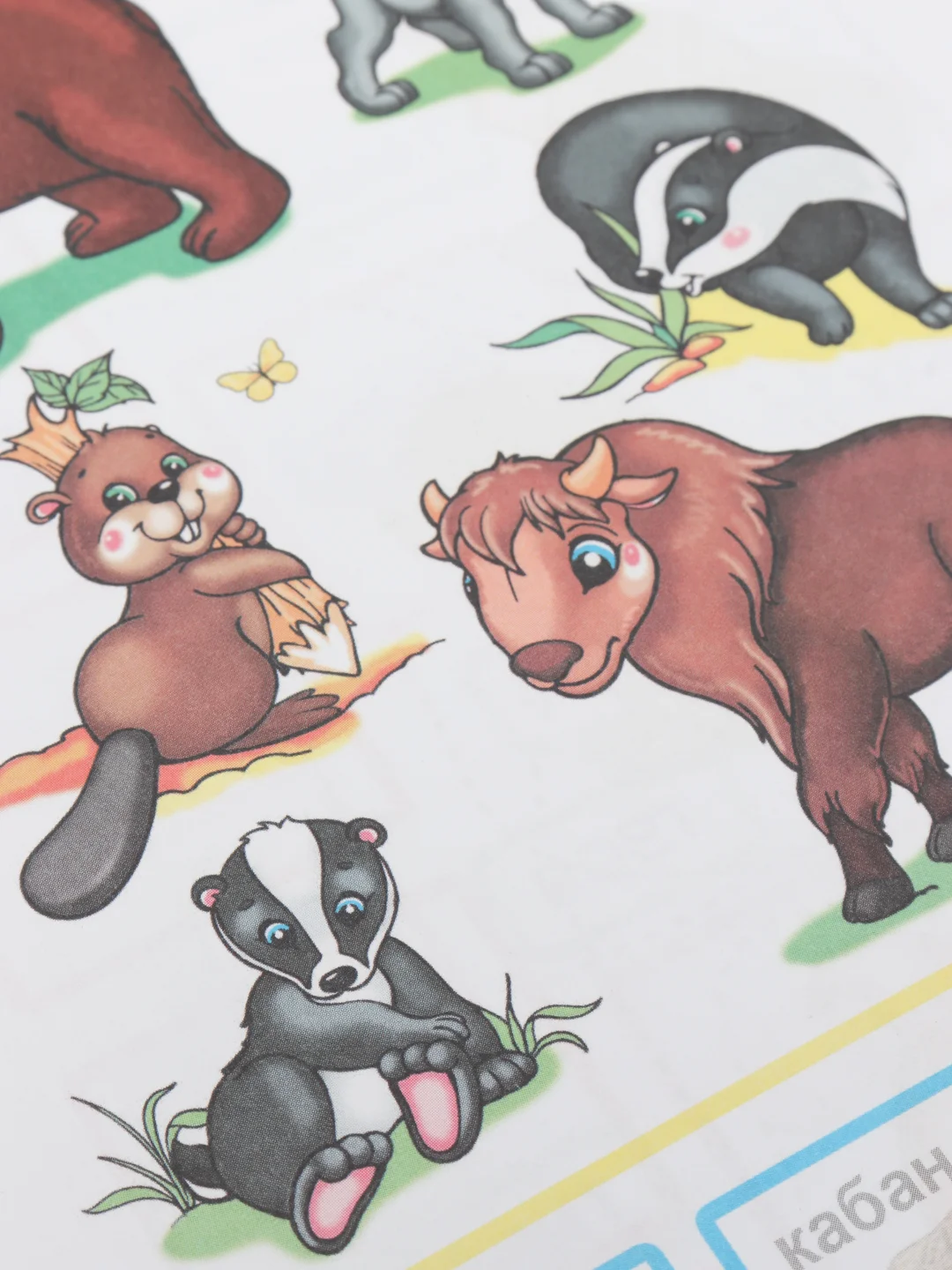 Лайм книга для детей 4-7 лет с наклейками, 12 стр., размер 22 x 16
