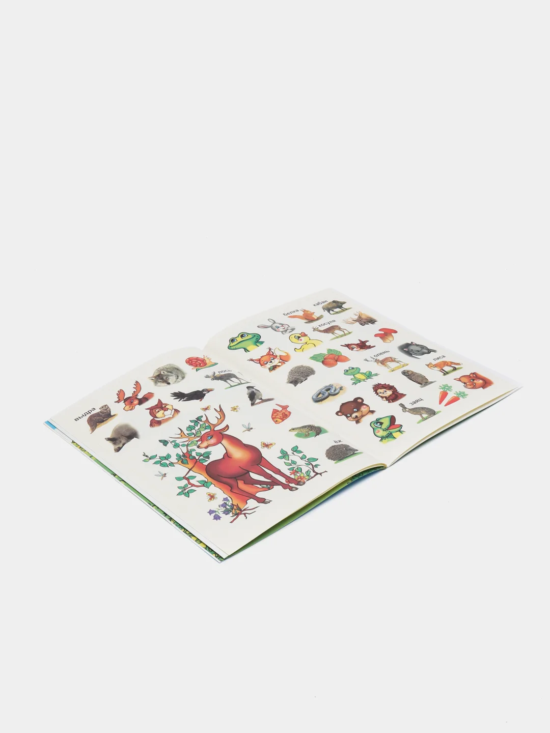 Лайм книга для детей 4-7 лет с наклейками, 12 стр., размер 22 x 16
