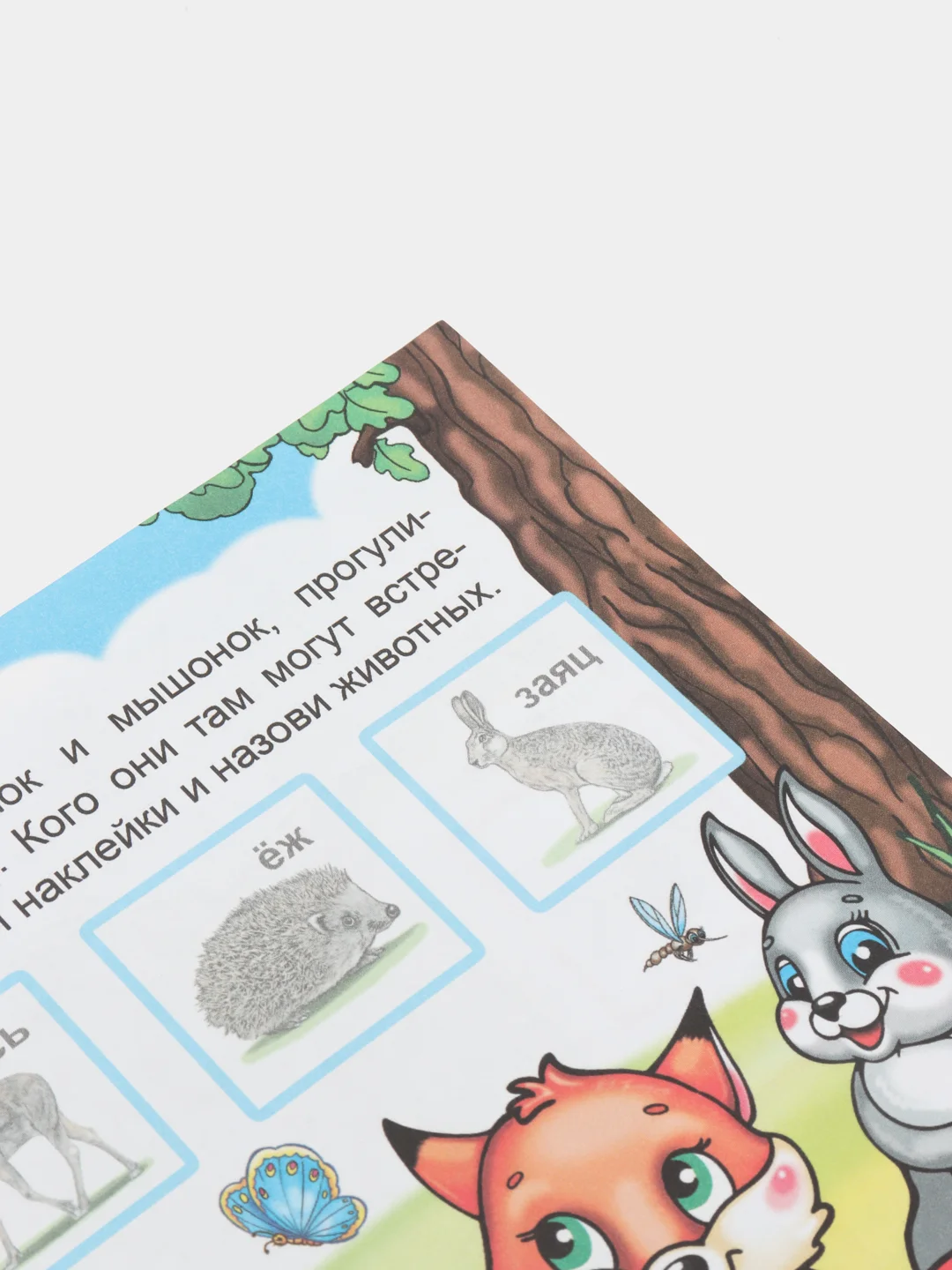 Лайм книга для детей 4-7 лет с наклейками, 12 стр., размер 22 x 16