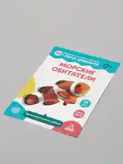 Обучающие карточки по методике Глена Домана