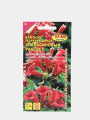Семена Кампсис "Апельсиновый рассвет"