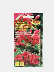Семена Кампсис "Апельсиновый рассвет"