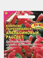 Семена Кампсис "Апельсиновый рассвет"