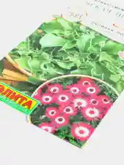 Семена цветов Мезембриантемум "Яркая звезда"