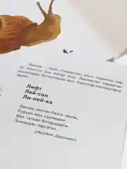 Алфавит. Хэрефлэр. Дидактические карточки на татарском языке