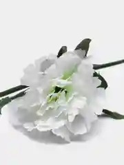 Белый цветы искусственные, зелень