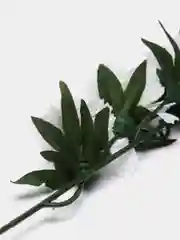 Белый цветы искусственные, зелень