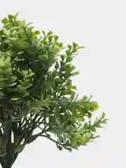 Салатовый цветы искусственные, зелень