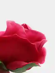 Красный цветы искусственные, зелень