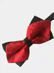 Алый бабочка двойная