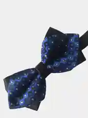 Синий бабочка двойная