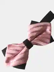 Коралловый бабочка двойная