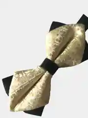 Бежевый бабочка двойная