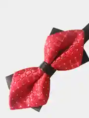 Красный бабочка двойная