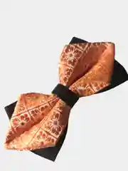 Манго бабочка двойная