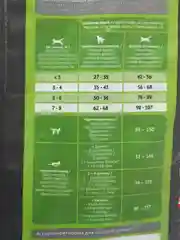 Корм сухой Probalance, для кошек с чувствительным пищеварением, с курицей и рисом, 10 кг