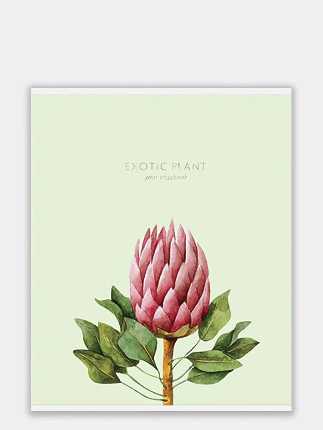 Зеленый тетрадь 48 листов в клетку "Exotic flowers"