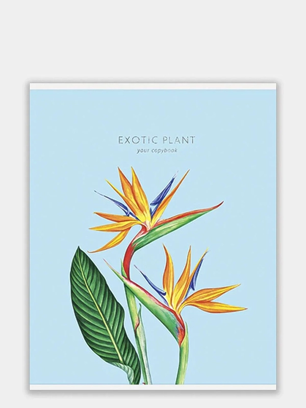 Тетрадь 48 листов в клетку "Exotic flowers"
