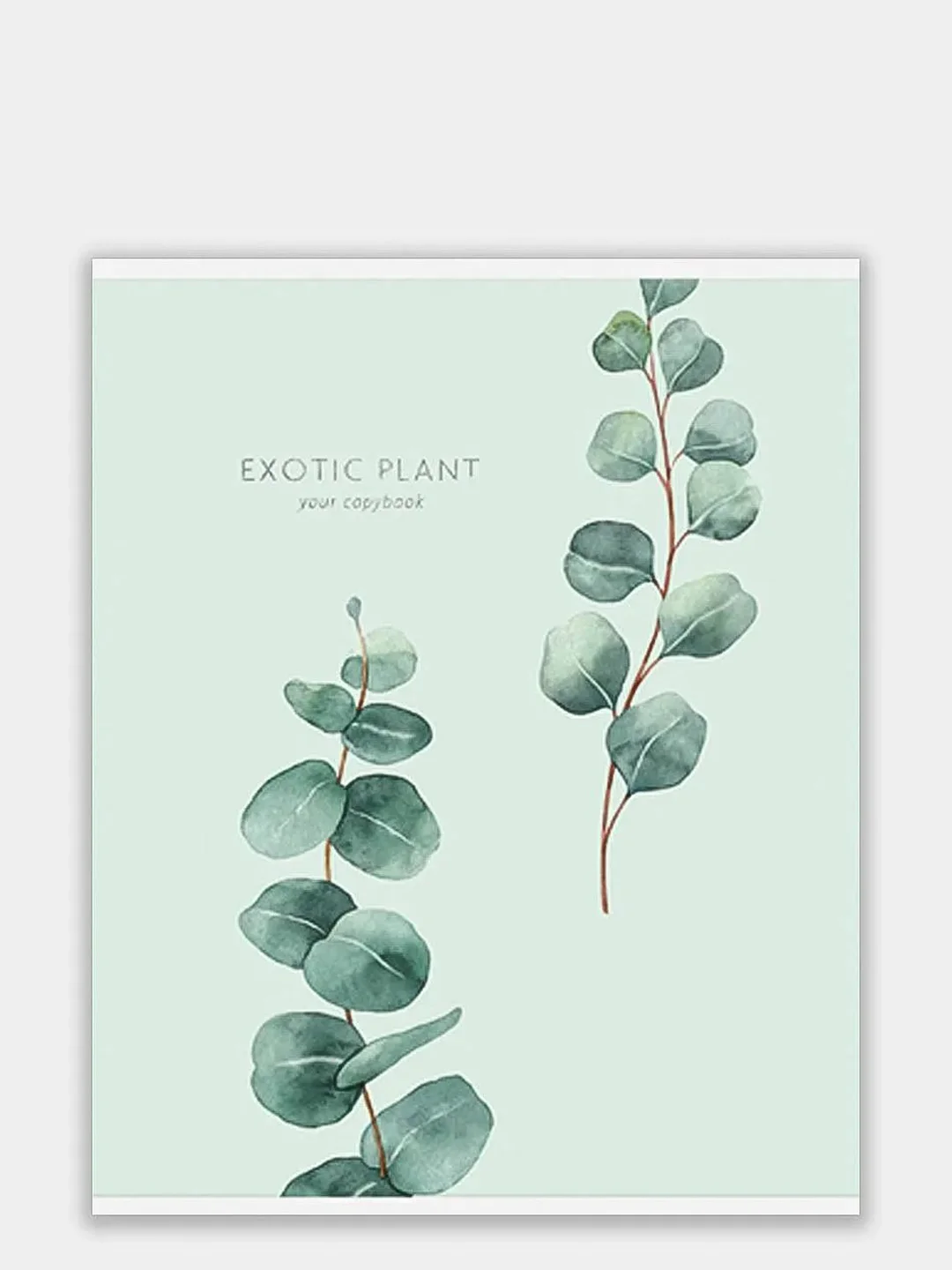 Мятный тетрадь 48 листов в клетку "Exotic flowers"