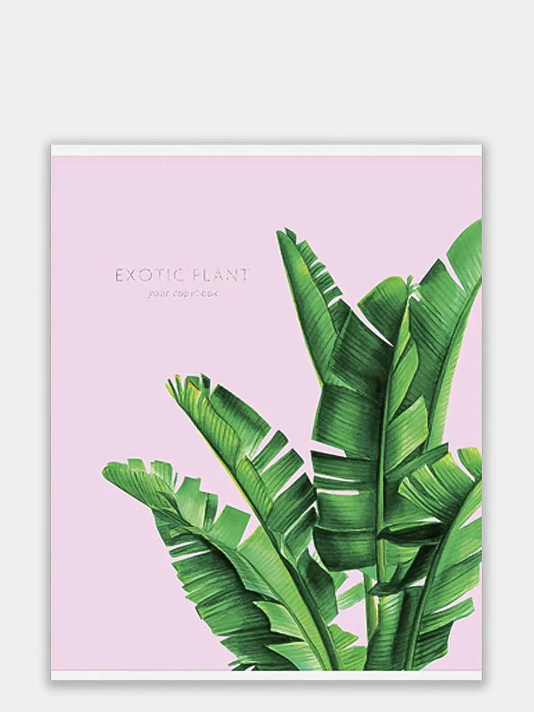 Розовый тетрадь 48 листов в клетку "Exotic flowers"