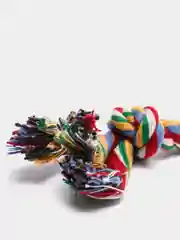 Фуксия игрушка канат тянучка для собак