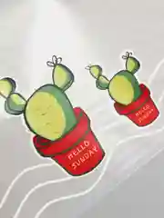 Угольный косметичка дорожная, папка, пенал Cactus