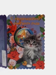 Поздравительная открытка " С окончанием Учебного года ! "